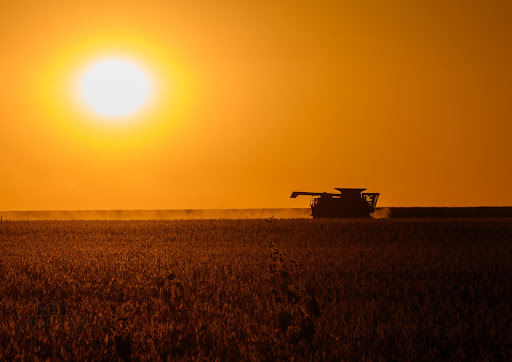 combine soybeans