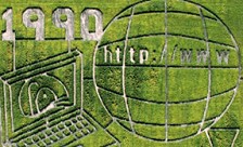 13116
