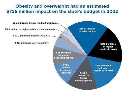 Obesity pie chart