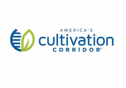 cultivation
