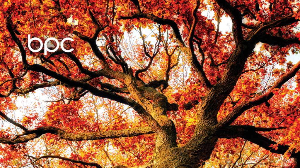 Pillars Cover Image 24