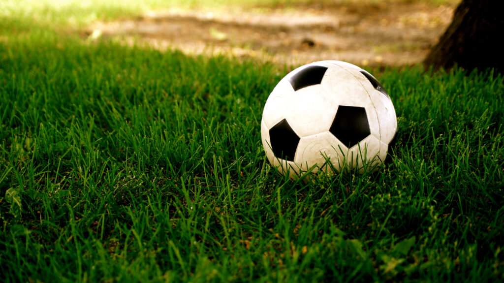 Close Up Of Soccer Ball On Grassy Area